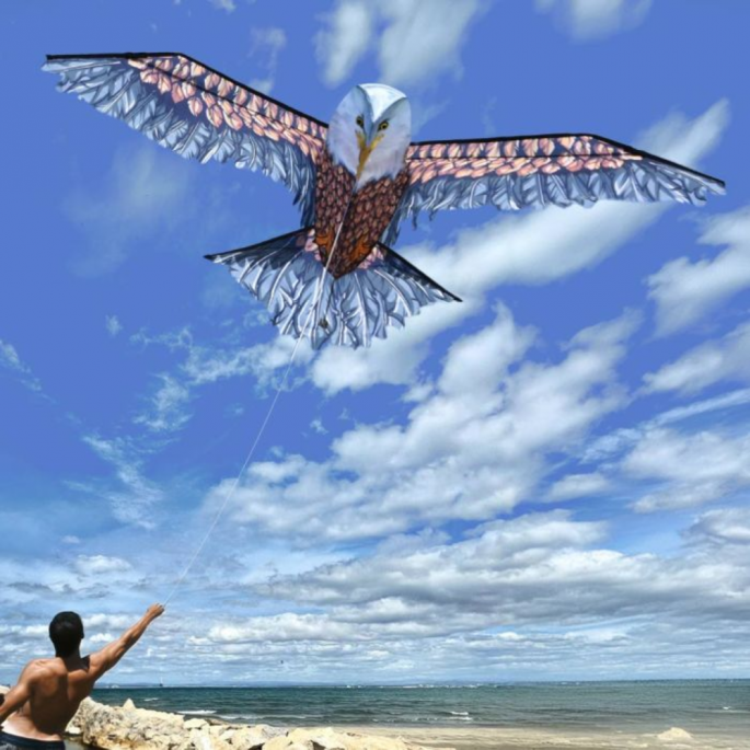 Perfect voor op het strand: 3D Eagle Kite 