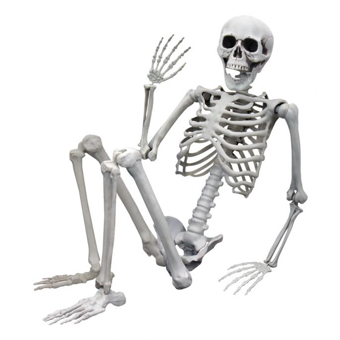 werkelijk Italiaans Luxe Human Size Skelet voor € 52,95 | MegaGadgets